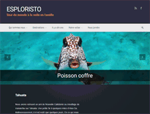Tablet Screenshot of esploristo.com